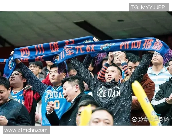 成都足球队实力引发热议球迷对球队表现的不同声音与看法