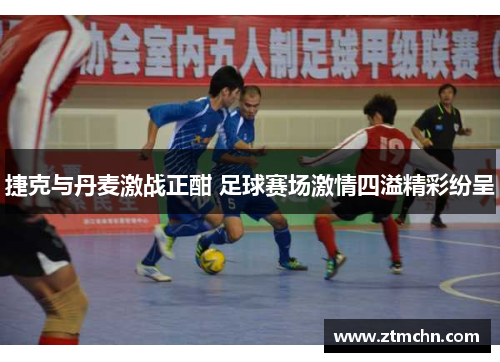 捷克与丹麦激战正酣 足球赛场激情四溢精彩纷呈
