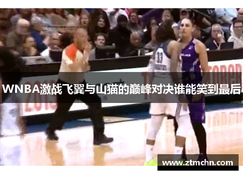 WNBA激战飞翼与山猫的巅峰对决谁能笑到最后